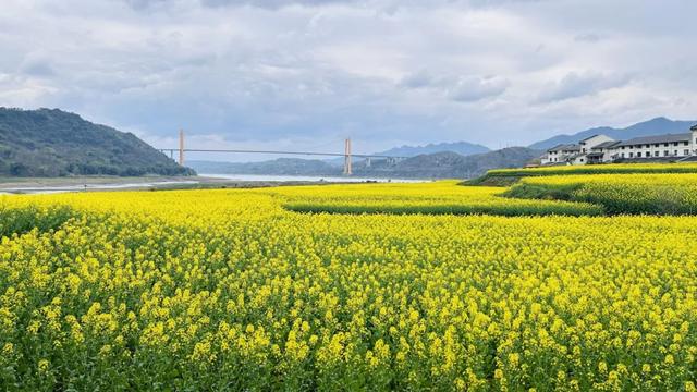 地名里的重庆 | 在巴南麻柳嘴 听不一样的“江流之声”