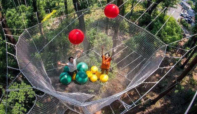 日本亲子游推荐「FOREST ADVENTURE」：享受森林冒险的刺激