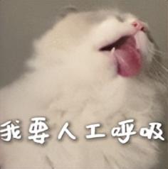 热搜爆了！西贝发长文致歉，结果彻底翻车...
