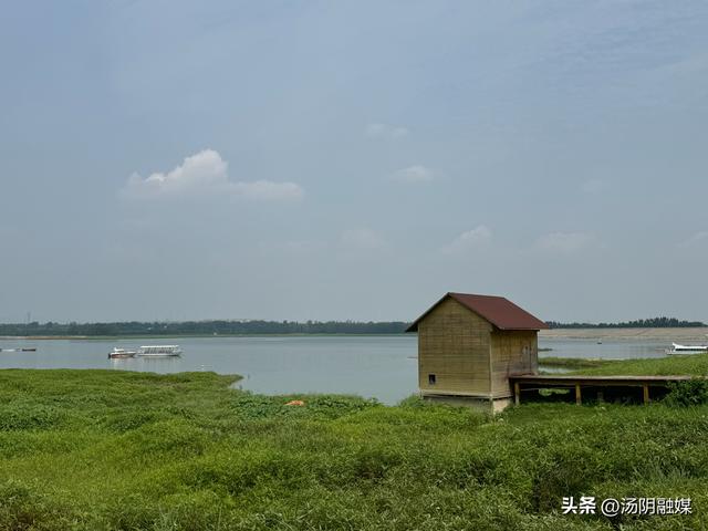 以绿意为帖，赴一场生态之约吧！