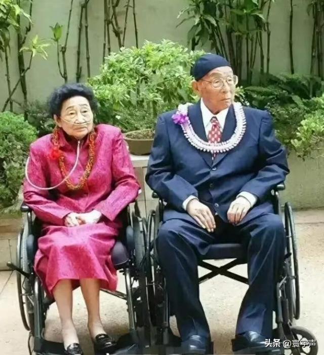 张学良老婆赵一荻有多美？身材丰腴眉清目秀，难怪少帅痴迷不已