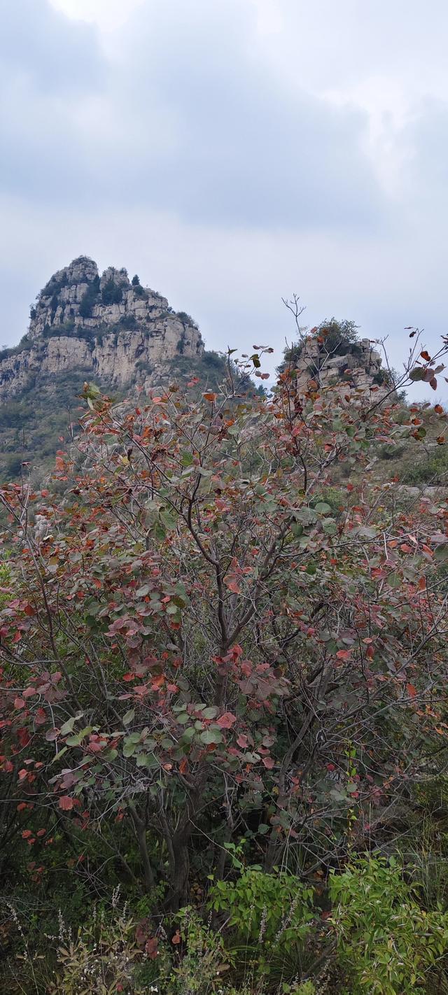 探访博山源泉郑家庄月亮门象鼻子山