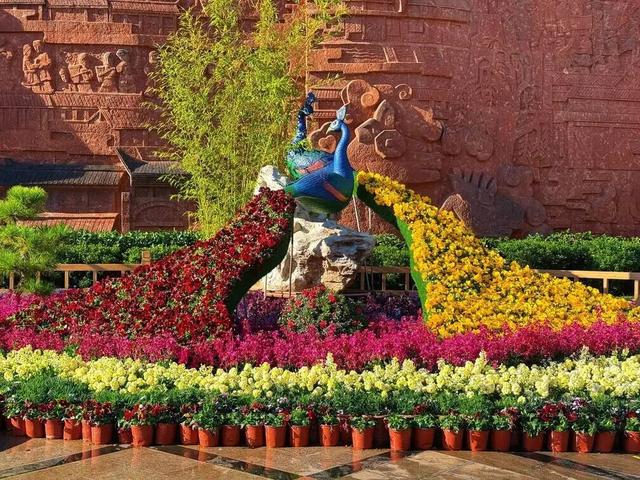 【网络中国节·春节】花海人潮映古城，八方游客来丽江过年