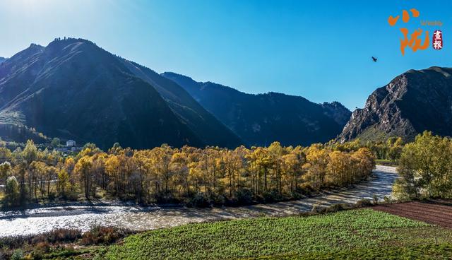 【小陇画报·431期】天祝小三峡：探寻绚烂秋色的绝佳去处
