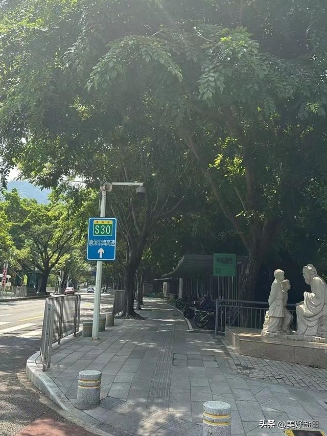 盐田林荫道，永远是封神的存在