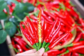 银屑病饮食 “红黑榜” 出炉：羊肉不一定忌口，这 2 种素食该少吃！图片