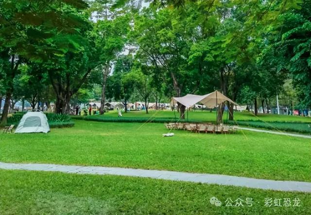 官方出手！临江公园禁止搭帐篷、明火烧烤，遛娃党狂喜（附攻略）