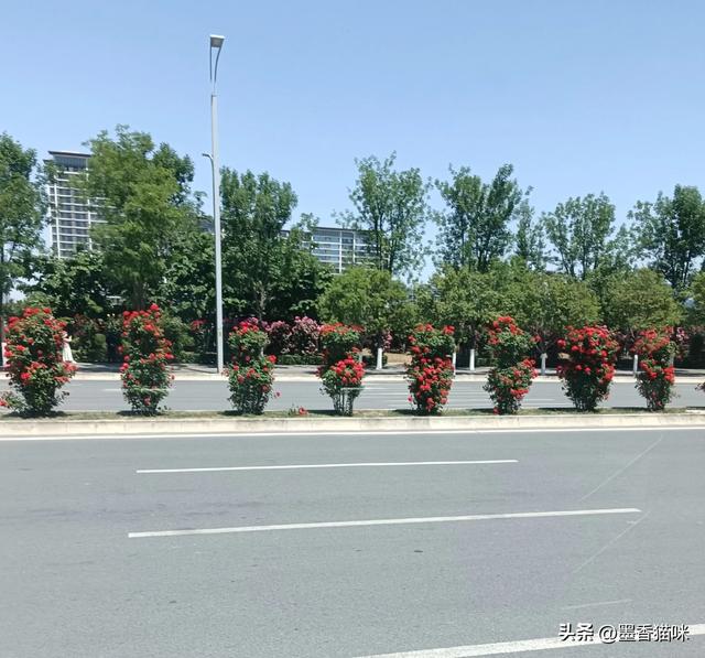 浐灞港务区半日游,顺路逛到临潼,然后坐火车回西安