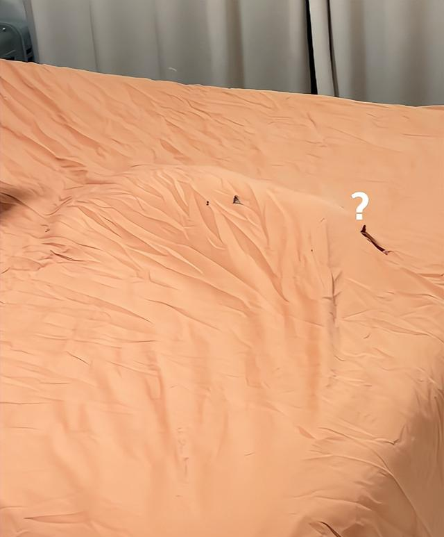 妹子吐槽床单质量不好，没用多久就破洞，网友笑疯：问问你家猫？