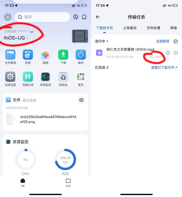 飞牛、绿联NAS远程访问优化指南！告别蜗牛速度，解锁远程直连！