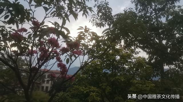 冬日美文：米易晒太阳安逸