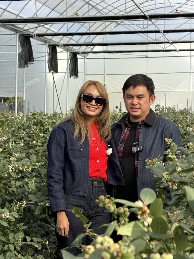 【外眼看云南】从雪山到蓝莓园：一场跨越千里的“胞波”暖冬行圆满结束