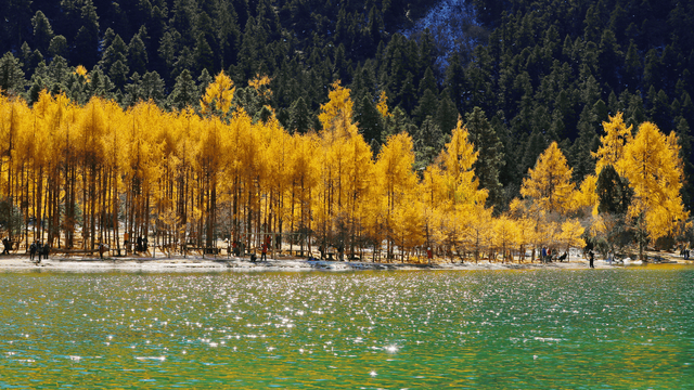 毕棚沟接待游客突破1100000！创下历史新高！