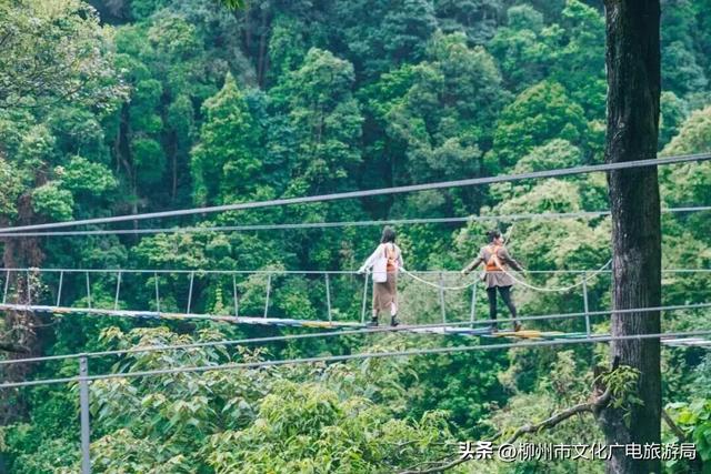 我的嗍粉听歌游柳州全盘计划！天后歌声与螺蛳粉狂欢我全都要！