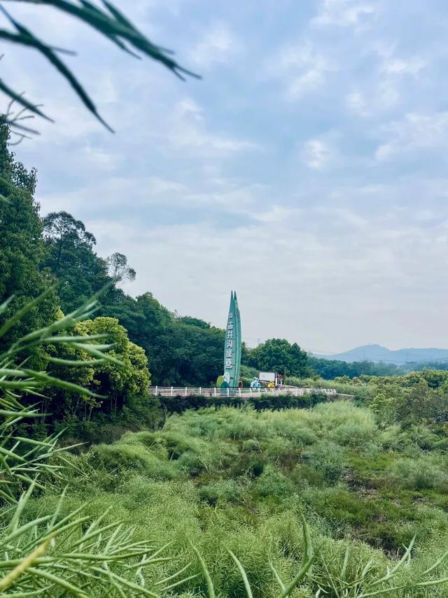 成都0.5h遛娃首选，又找到一条无人问津的捡秋绿道！