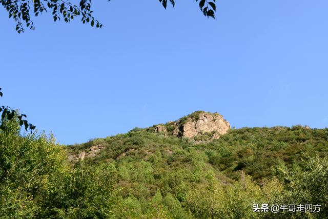 延庆应梦寺（五）：山巅极目收千嶂，林海听风涤尘心
