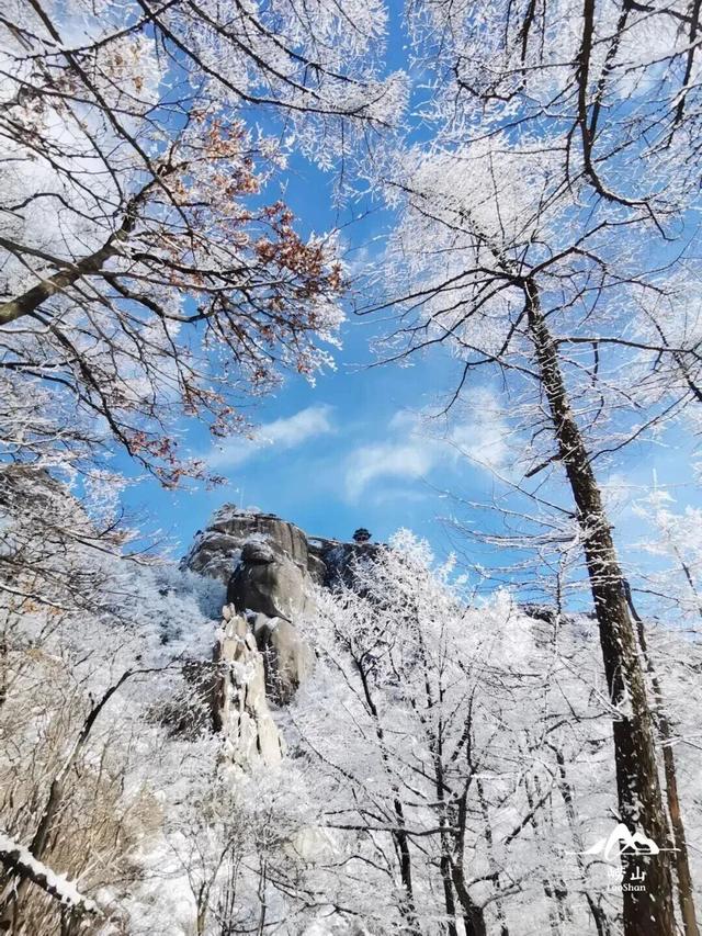 山东冬日奇观即将陆续上演，冰雪里的自然史诗等你解锁！
