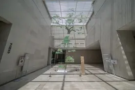 520：总要爱着点什么，恰似草木对光阴的钟情图片