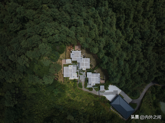 八荒设计 · 山谷松林里的隐世秘境之旅