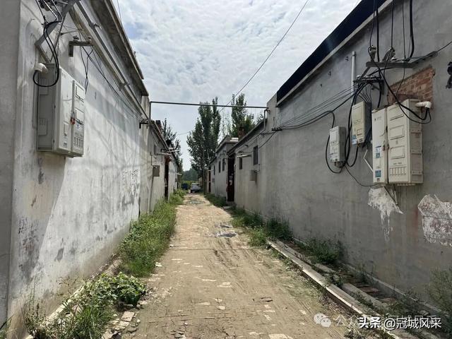 冠县乡韵·定远寨镇陈庄