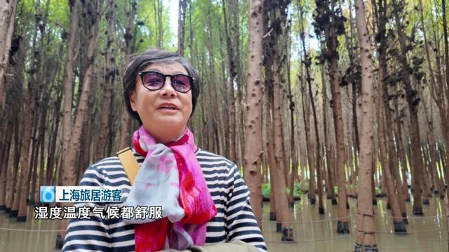 一下飞机，上海阿姨们就被昆明暖到了，除了气候更让她们欣喜的是......