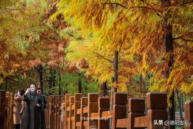最新实拍!德阳东湖山都美成啥样了啊?太夸张了