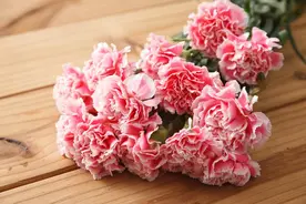 中国到底哪天过母亲节？官方答案来了：这三个日期都有特殊意义！图片