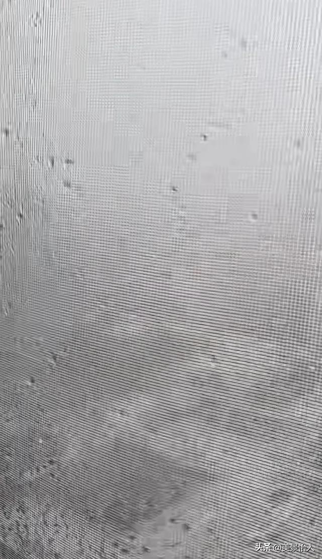 8月12日北京大暴雨