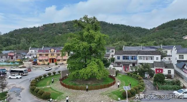 何家冲红色之旅：旧址寻踪悟精神