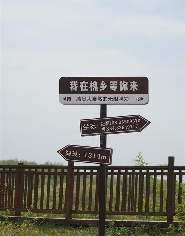 这才是5月陕西最值得去的小城！40万亩花海开爆，满城飘香！