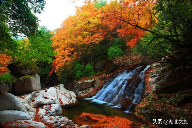 湖北出发！一键解锁“中国红叶第一山”，巴中送你一场秋日限定浪漫