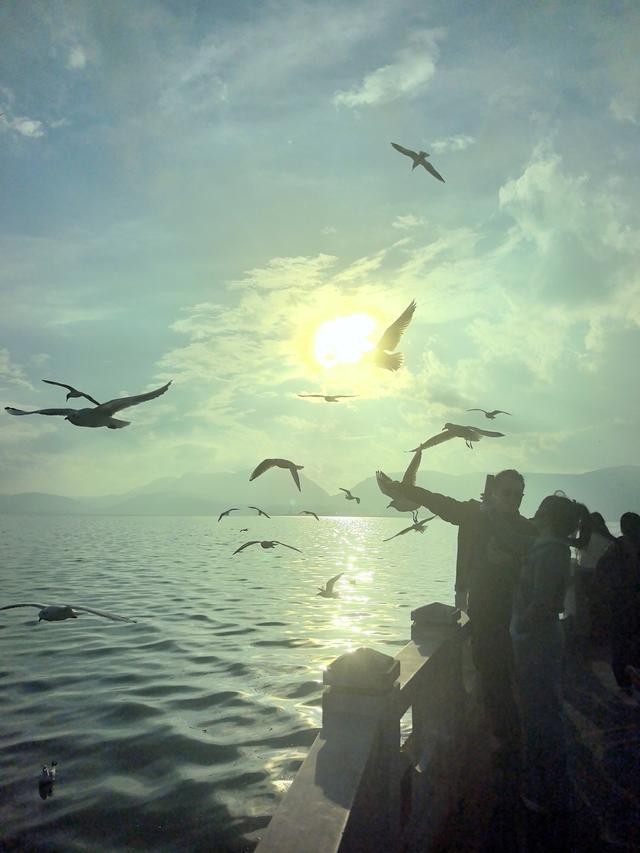 《雨霖铃·滇池秋望》