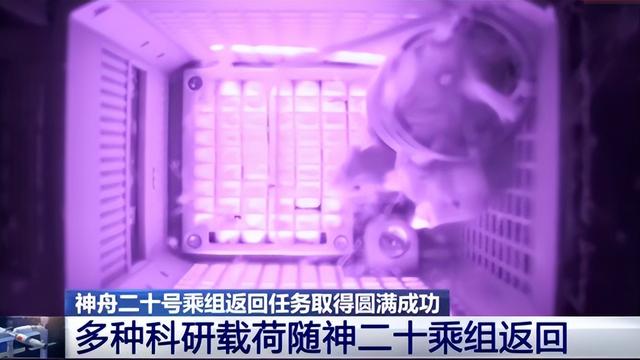 神舟二十号乘组携"航天小鼠"凯旋 中国航天再创太空驻留新纪录