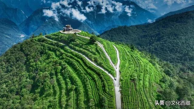 甲子西藏·文旅新章 | 十年蝶变，墨脱绽放旅游富民新画卷