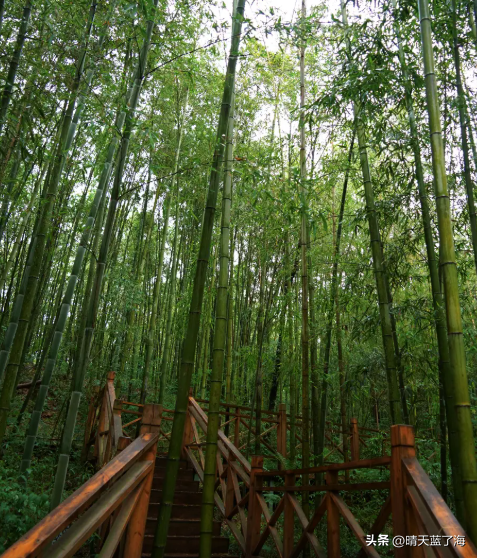 西安周边环山自驾一日游攻略：山水田园·文艺打卡·秦岭秘境！