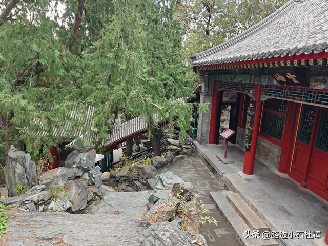 从童年嬉闹到诗意园林——一个北京土著的北海公园记忆