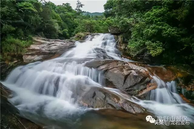 龙岩周末去哪儿 | 秋意浓！带上家人一起登高、远眺~