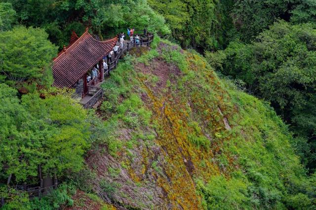 重阳、秋假去哪里？武夷登高待君来！