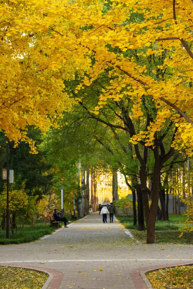 收藏一个秋天,石景山绝美秋色大公开