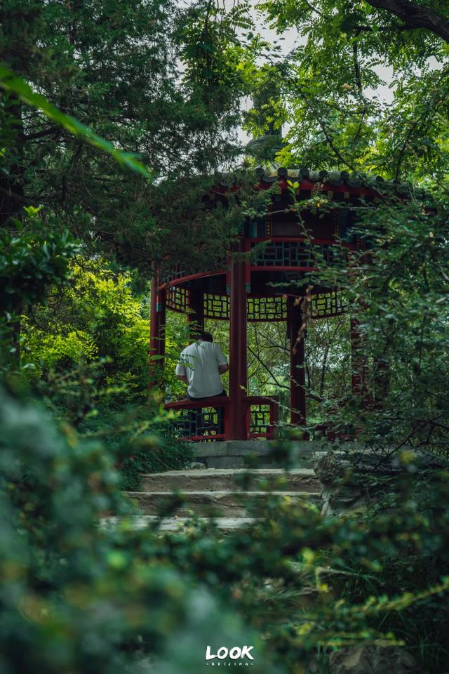 夏天来北京，就为了逛这座公园