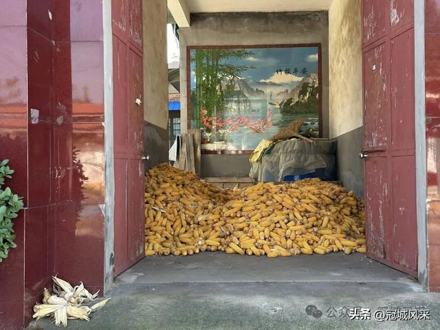 冠县乡韵·兰沃乡大柳邵村