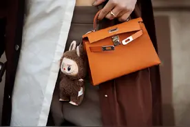 美国人凌晨三点排队，不为苹果手机，竟是为了中国毛绒玩具泡泡玛特拉布布！原价几十美元被炒到1920美元天价图片