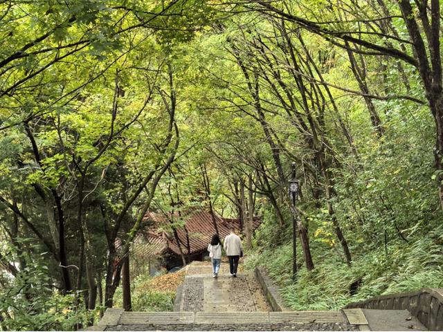 康县：秋雨、青年与白云山的邂逅