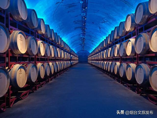 【乐游烟台】烟台这家景区太宠了!免费进、免费喝、免费玩