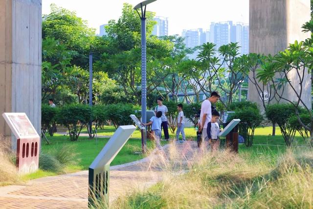 三条高铁并行！桥下还有“宝藏”，等你发现！