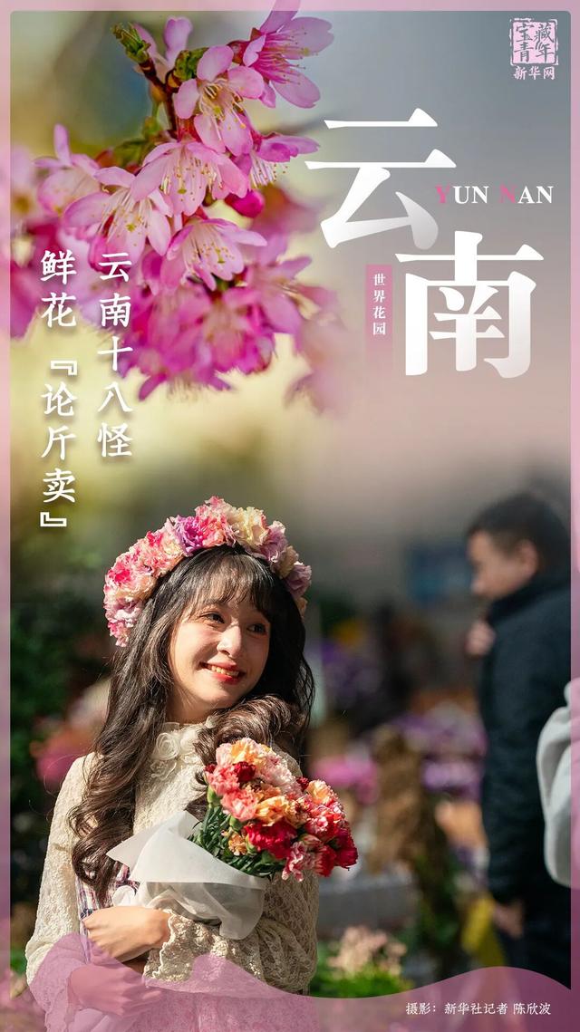 你好，云南！