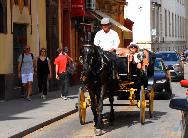 西班牙旅游：难忘从塞维利亚到直布罗陀行记（图）