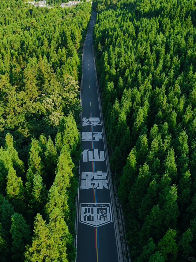 仅25℃！高铁2h直达苗乡秘境，免费峡谷徒步超凉快，纳凉好去处！