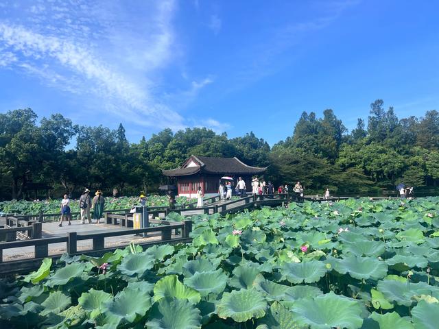 夏日西湖，8月9日。