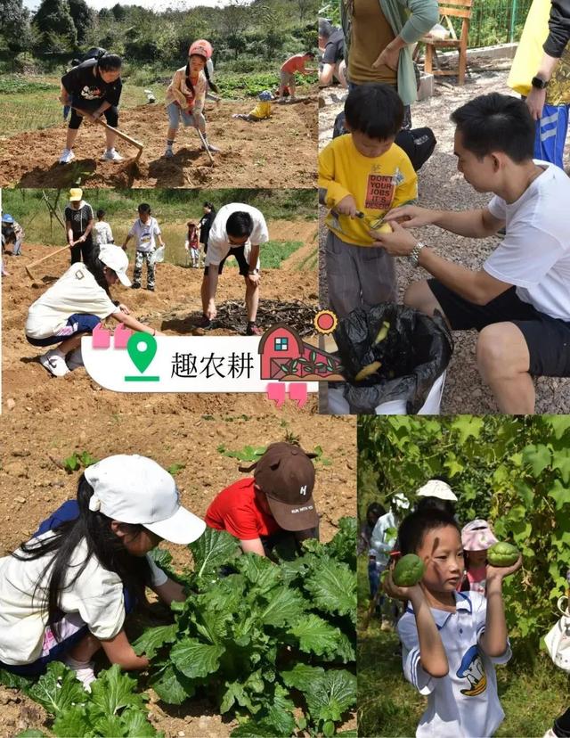 速戳！贵阳白云风筝嘉年华，随风筝趣玩白云